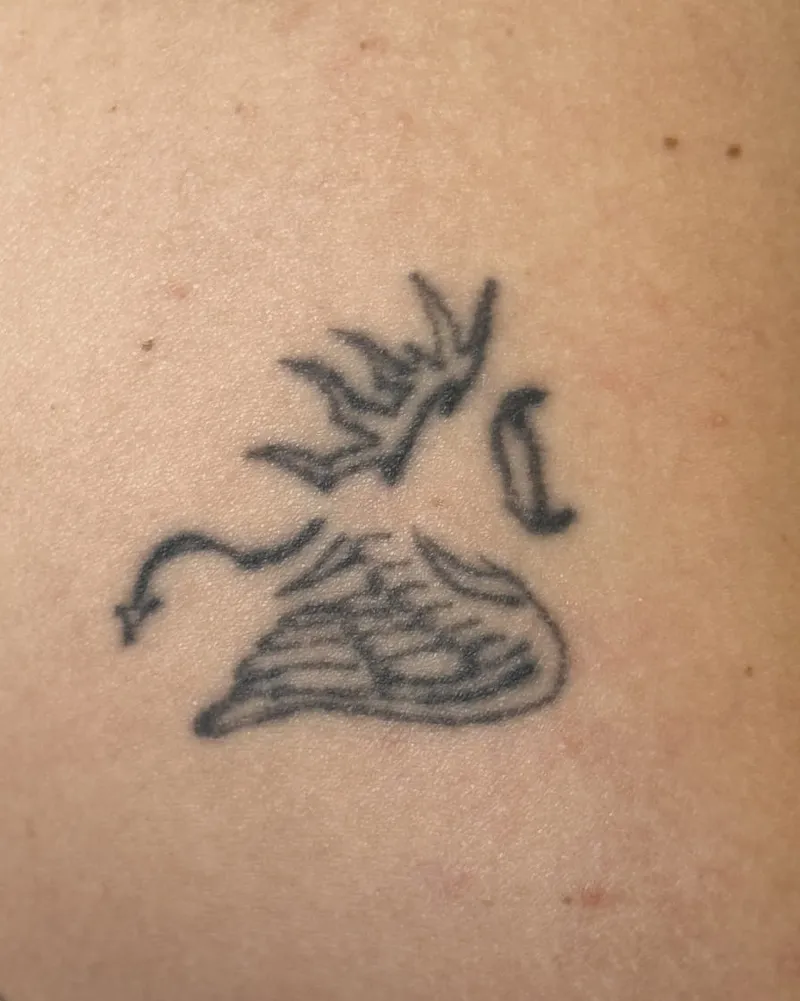 Tattoo Fading before